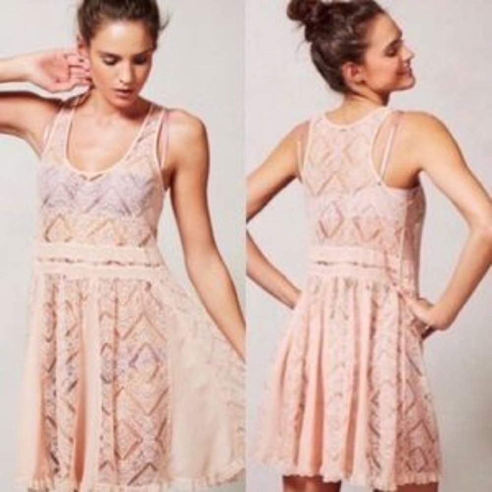 Anthropologie Eloise St. Regis Pink Slip Dress Size Small Lace Sheer Floral Boho